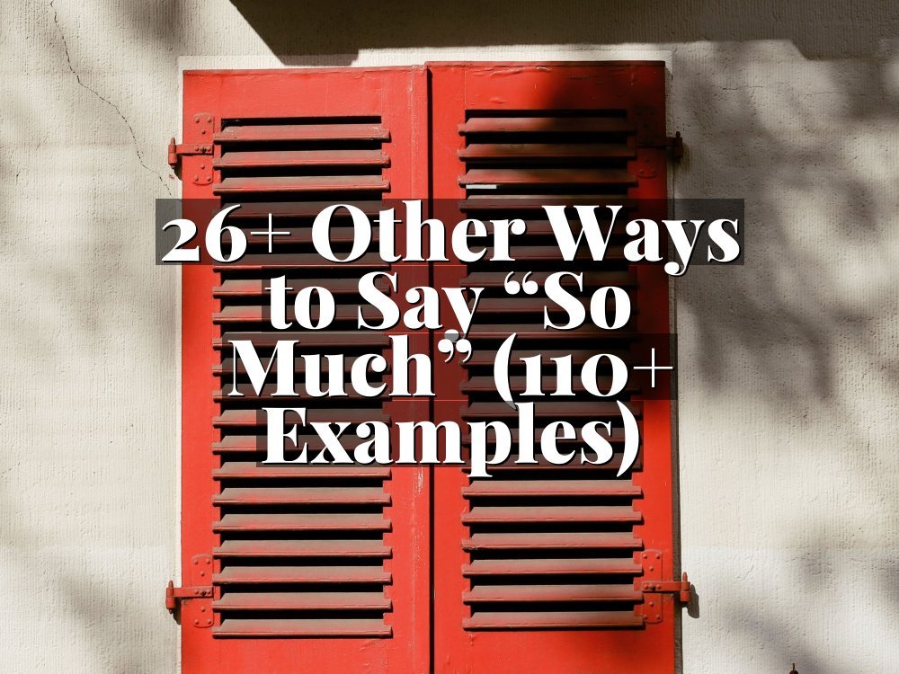 26+ Other Ways to Say “So Much” (110+ Examples)