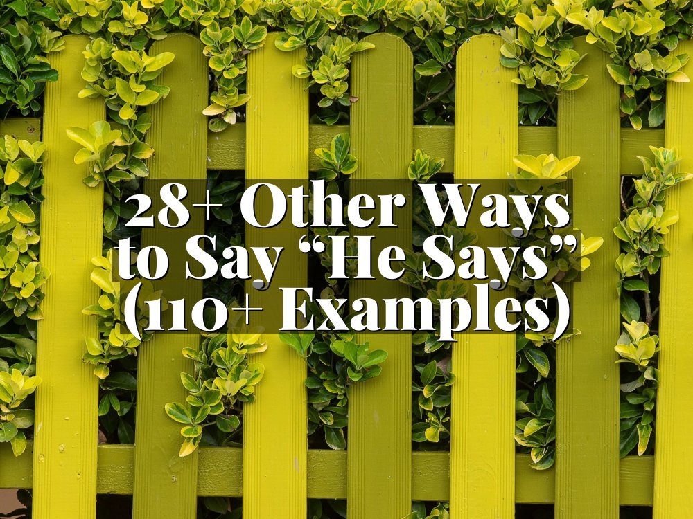 28+ Other Ways to Say “He Says” (110+ Examples)