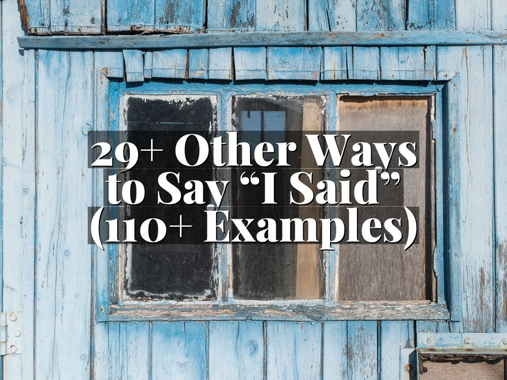 29+ Other Ways to Say “I Said” (110+ Examples)