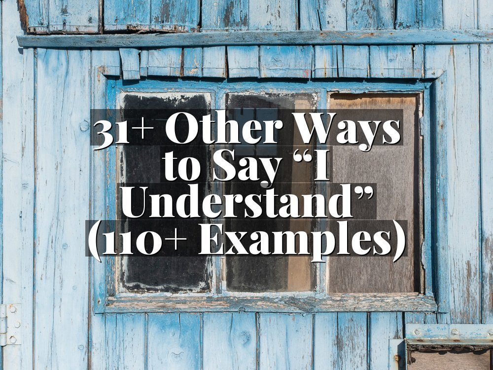 31+ Other Ways to Say “I Understand” (110+ Examples)
