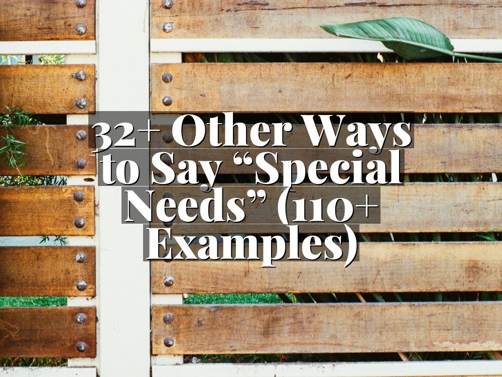 32+ Other Ways to Say “Special Needs” (110+ Examples)