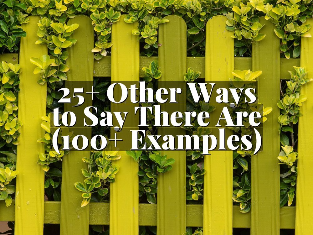 25+ Other Ways to Say There Are (100+ Examples)