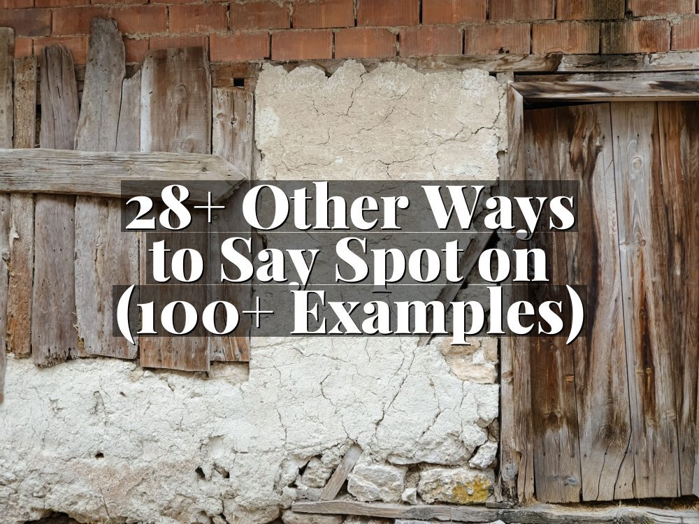 28+ Other Ways to Say Spot on (100+ Examples)