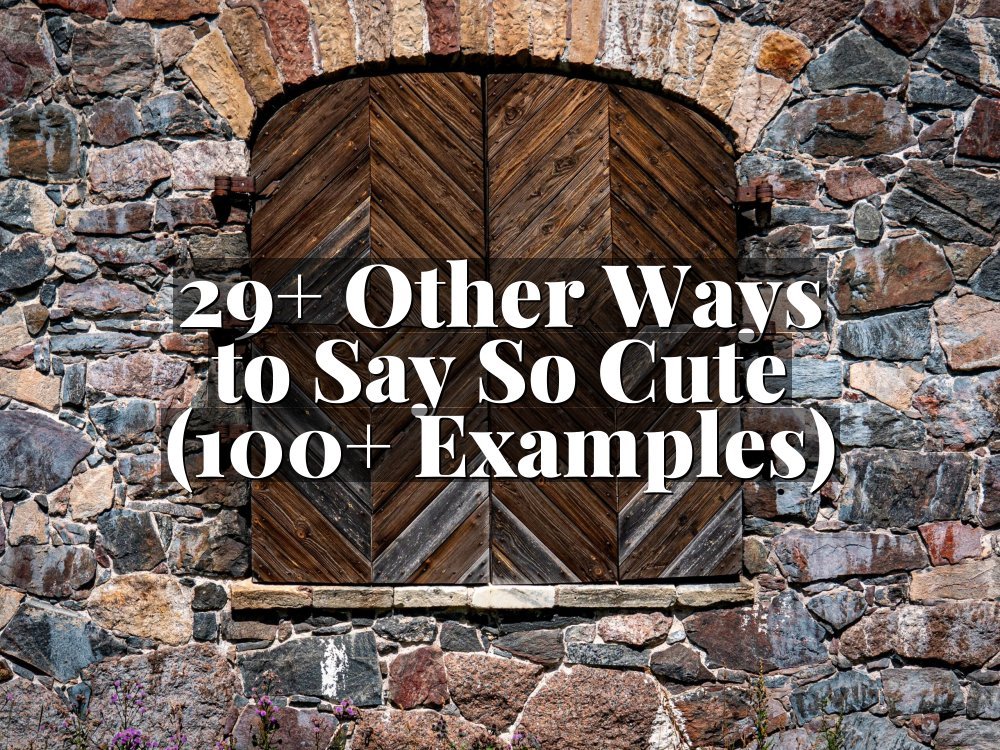 29+ Other Ways to Say So Cute (100+ Examples)