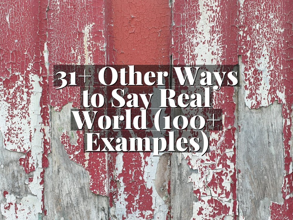 31+ Other Ways to Say Real World (100+ Examples)